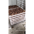 heat pump drying fruits machine